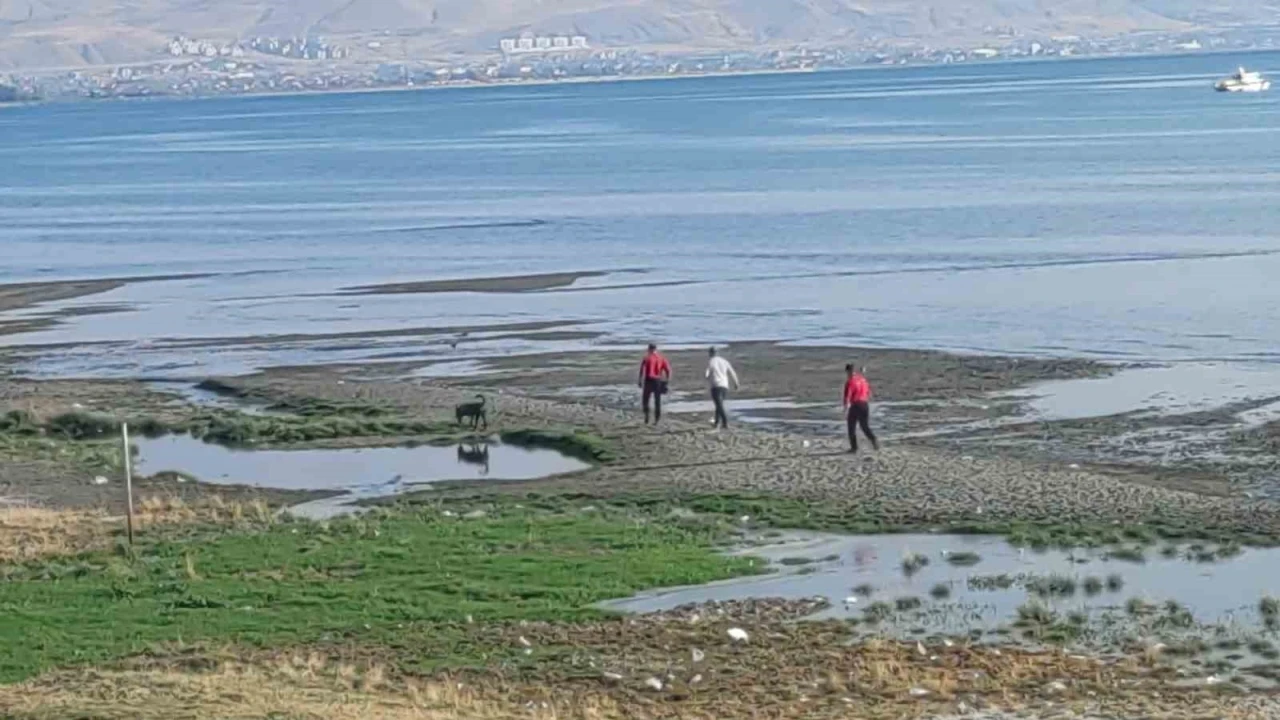 Kayıp üniversite öğrencisini arama çalışmalarına jandarma sualtı kadavra arama köpeği katıldı
