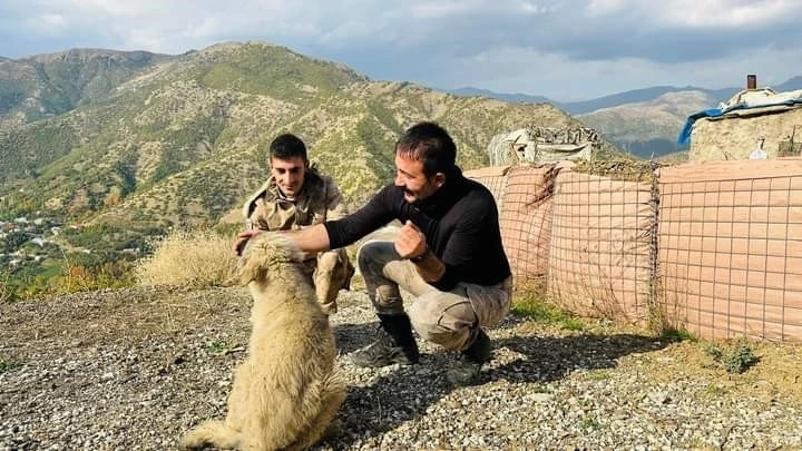 Kaymakamın bulduğu yavru köpekler güvenlik güçlerine arkadaş oldu
