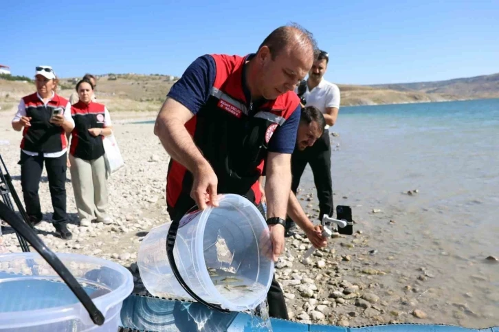 Kayseri’de sulara 1 buçuk milyon balık bırakıldı
