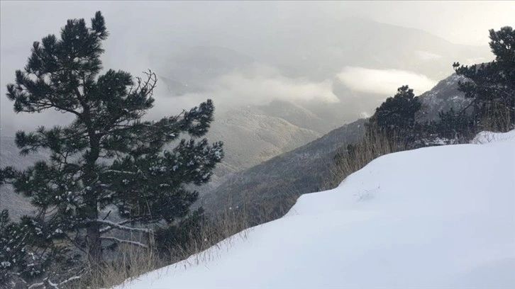 Kazdağı Milli Parkında kar manzaraları