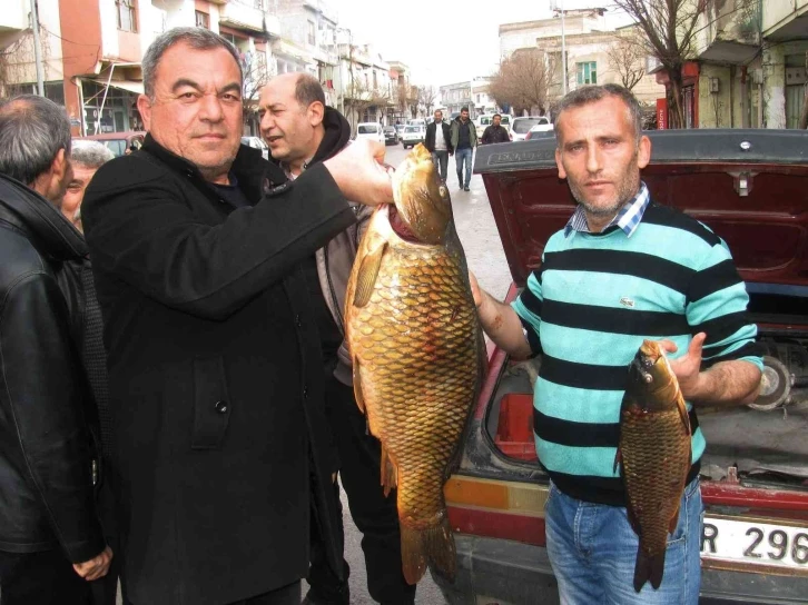 Kebap diyarında balık avlayarak geçimlerini sağlıyorlar
