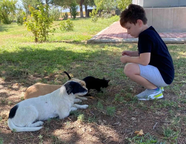 Kedi ve köpeğin örnek dostluğu
