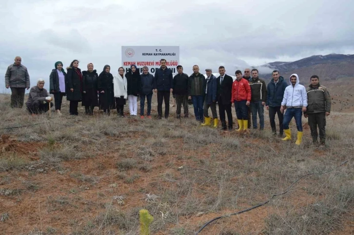 Kemah’ta fidan dikim etkinliği düzenlendi
