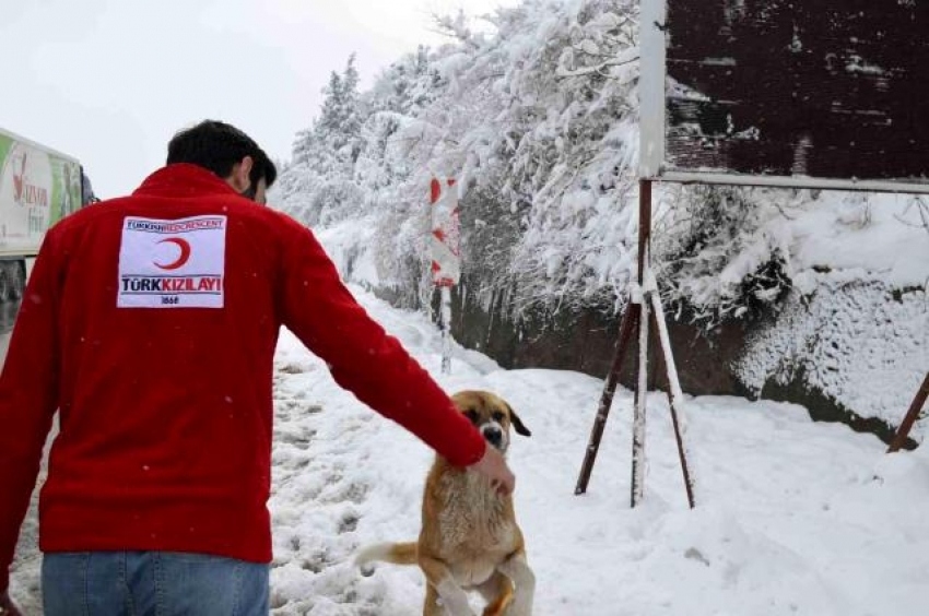 Bursa Kızılay'dan yürek ısıtan çalışma