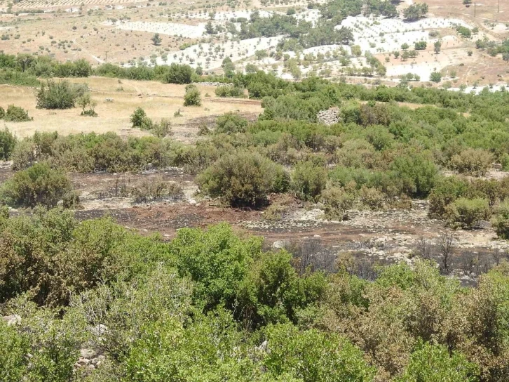 Kilis’teki orman yangınında 20 dönüm arazi kül oldu
