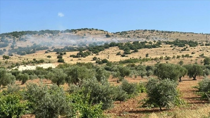 Kilis'te çıkan orman yangını söndürüldü