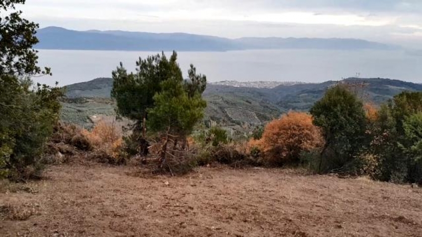 Mudanya'da devlet arazilerine el koydular