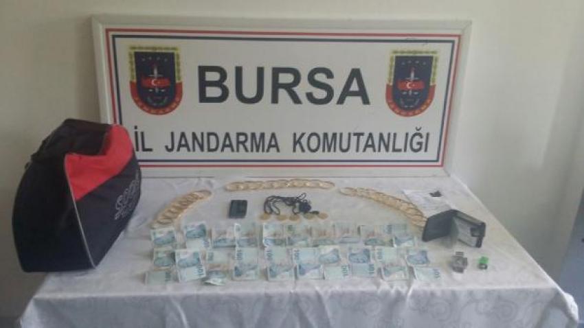 Bursa'da dolandırıcı yakayı ele verdi