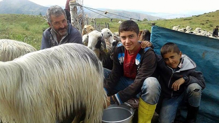 Koyun otlatırken çalıştı, TEOG birincisi oldu