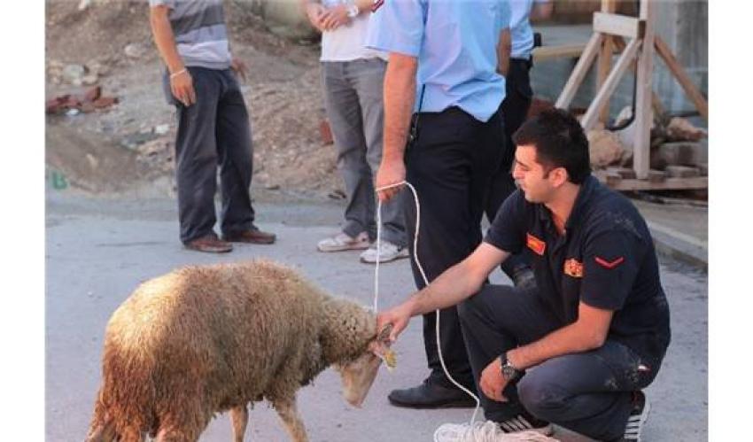 Bursa'da nefes kesen kurtarma operasyonu