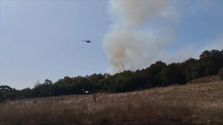 Kocaeli'de ormanlık alanda çıkan yangın kontrol altına alındı