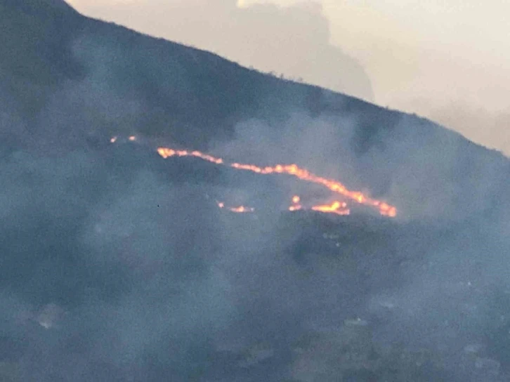 Kolombiya’da orman yangını: Alevler yerleşim yerlerine sıçradı
