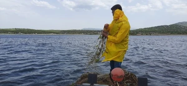 Konya’da 2 bin metre sahipsiz ağ ve elektroşok malzemeleri ele geçirildi
