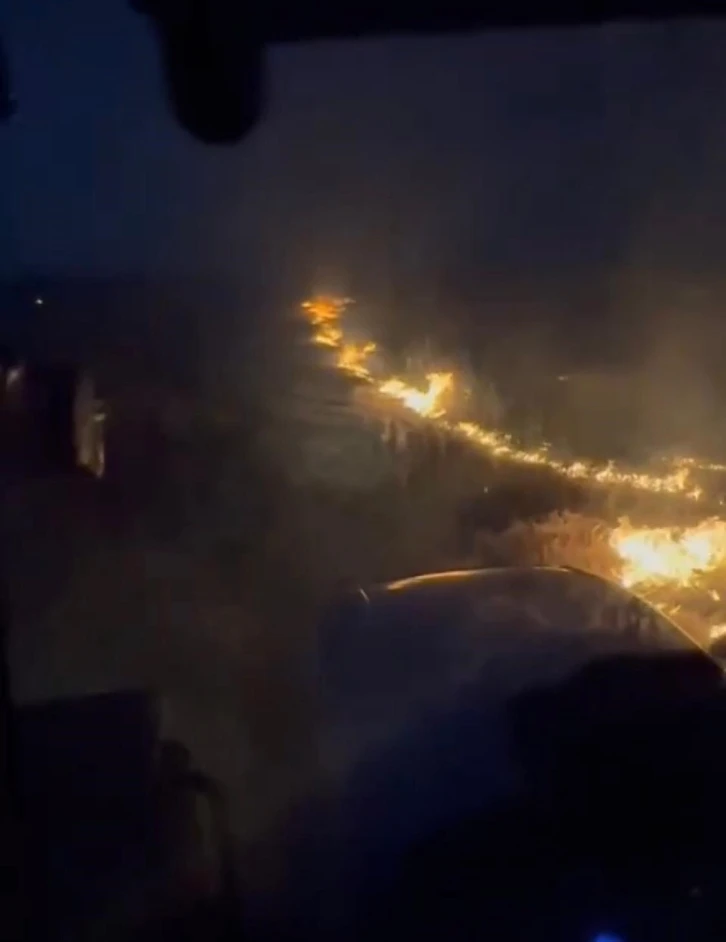 Konya’da elektrik akımına kapılan kuşlar yangına neden oldu

