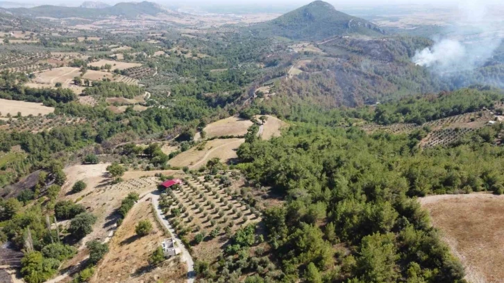 Kozan’daki orman yangını kontrol altına alındı
