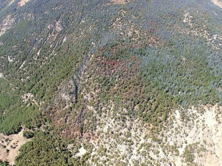 Kumluca’daki yangında 15 hektar ormanlık alan zarar gördü
