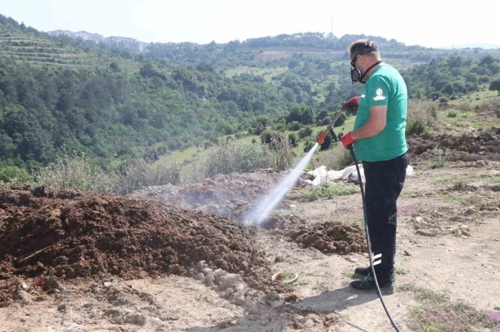 Kurban pazar yerleri ilaçlanıyor
