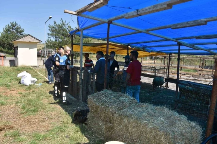 Kurban pazarında vatandaşlara dolandırıcılık uyarısı
