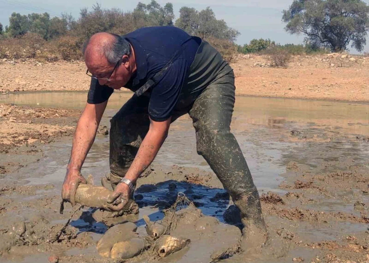 Kuruyan gölette balık kurtarma operasyonu
