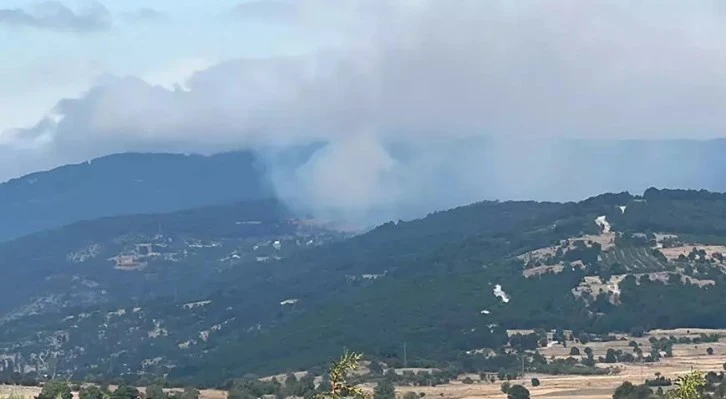 Kütahya'da orman yangını 