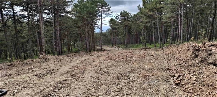 Kütahya’da yangınlarıyla mücadelede yeni savunma hatları oluşturuluyor
