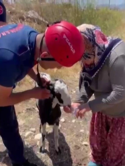 Kuyuya düşen keçi kurtarıldı
