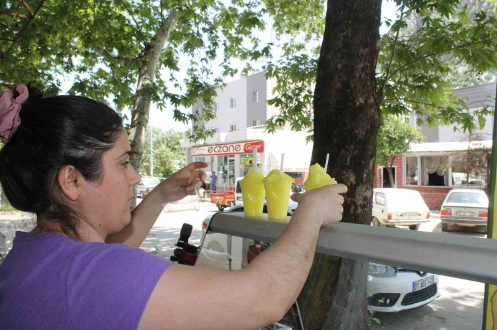 Limon, çilek ve kividen sonra lavanta dondurması üretimi de başladı
