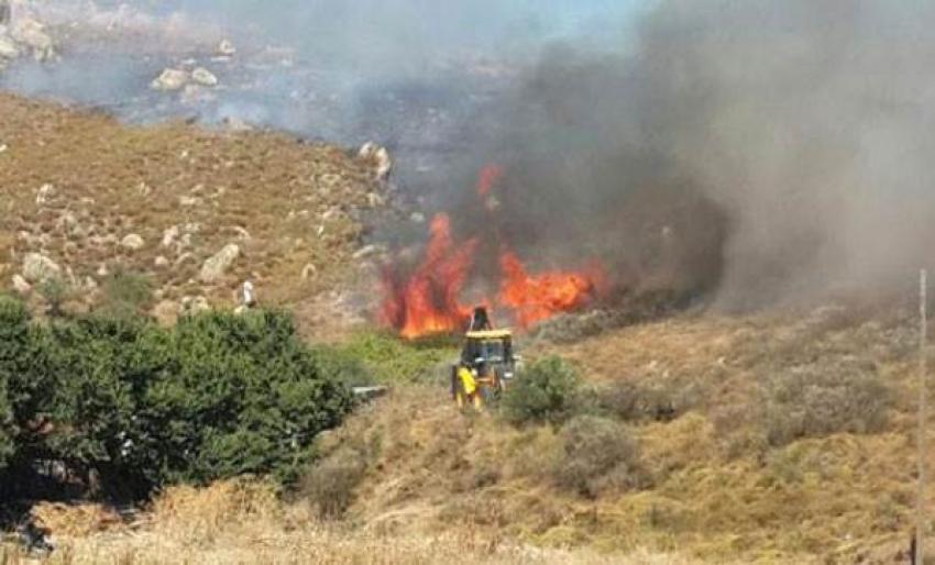 Marmara Adası’nda orman yangını