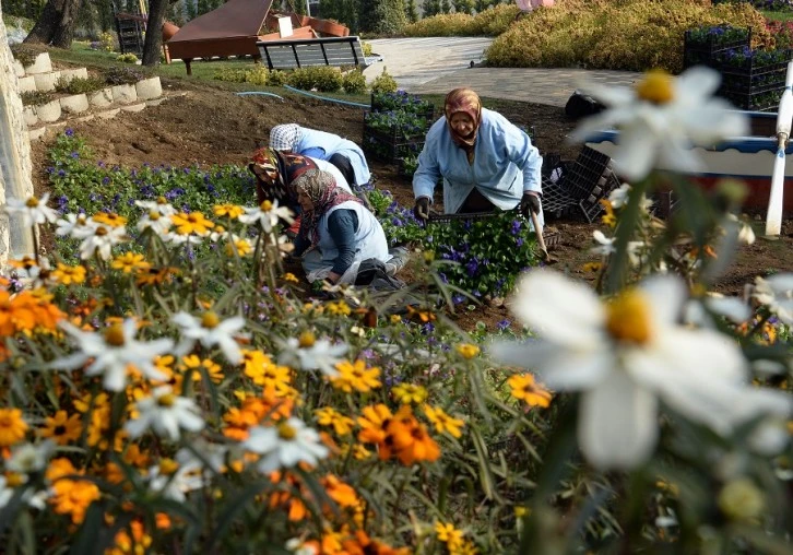 Macera Bursa’da kış çiçekleri açıyor