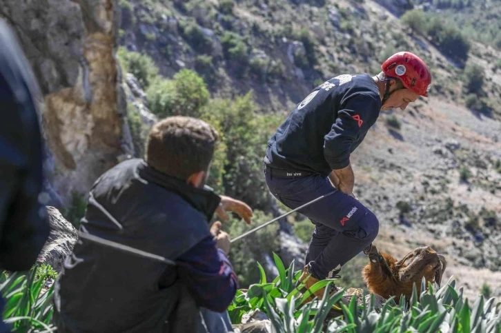 Mahsur kalan 3 keçiyi itfaiye kurtardı
