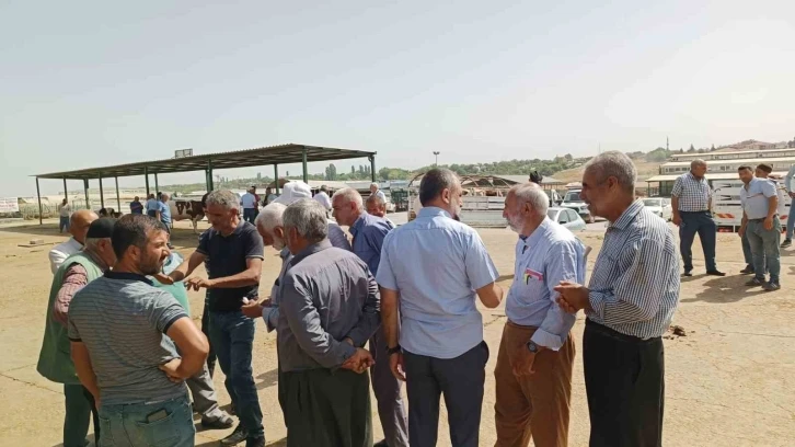 Malatya’da kurbanlıklar alıcılarını bekliyor
