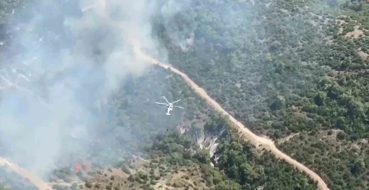 Manisa’da orman yangını
