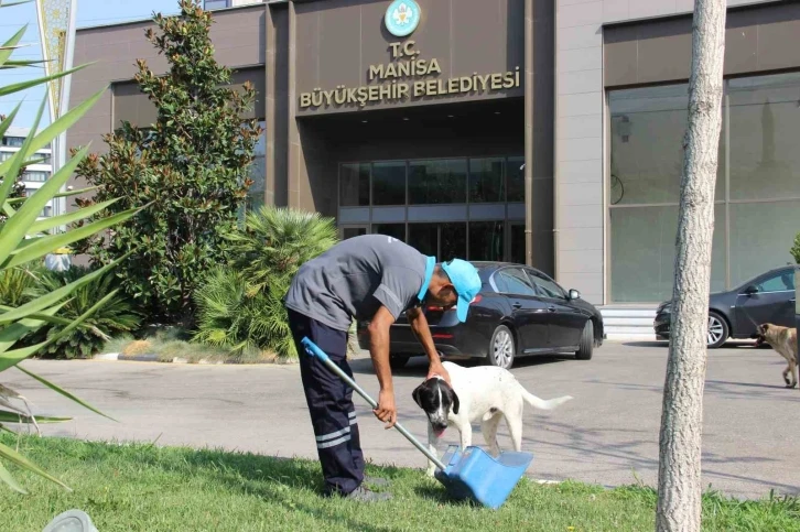 Manisa’da yürek ısıtan görüntü
