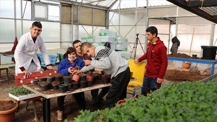 Manisa'da özel öğrencilerin yetiştirdiği çiçekler, parkları süslüyor