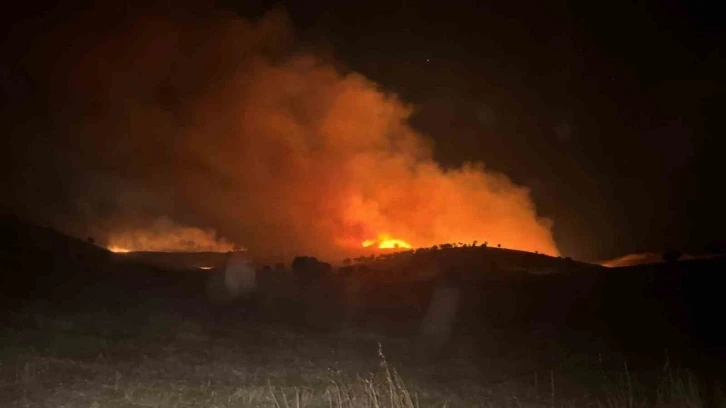 Mardin’de 2 farklı noktada çıkan anız ve ot yangını söndürüldü
