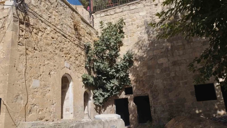 Mardin’de 700 yıldır ayakta olan medrese varlığını sürdürüyor
