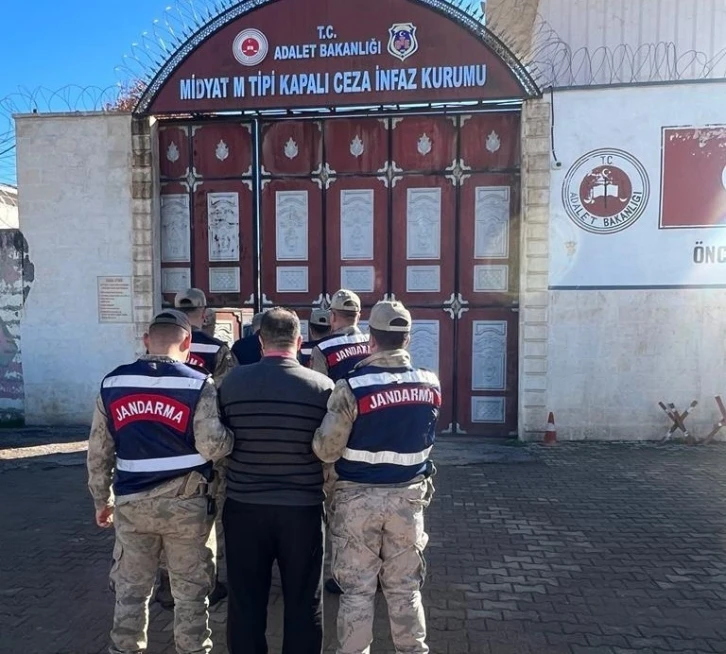 Mardin’de büyükbaş hayvan çalan 3 hırsız tutuklandı
