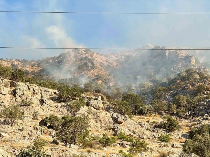 Mardin’de ormanlık alanda çıkan yangına müdahale devam ediyor
