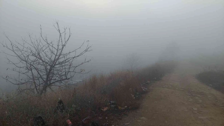 Marmara'da yoğun sis 