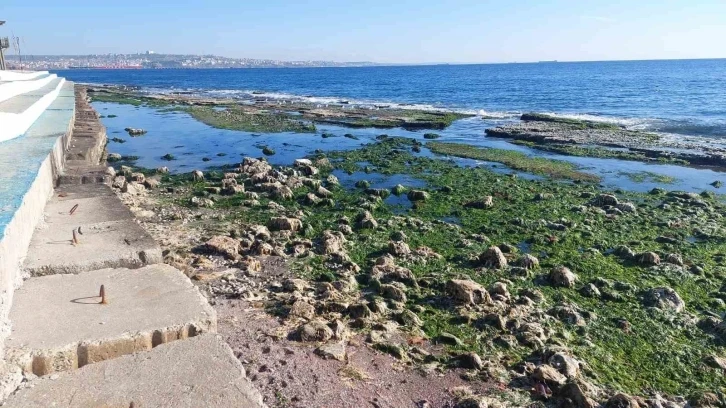 Marmara Denizi 25 metre çekildi: "Depremle alakası yok"
