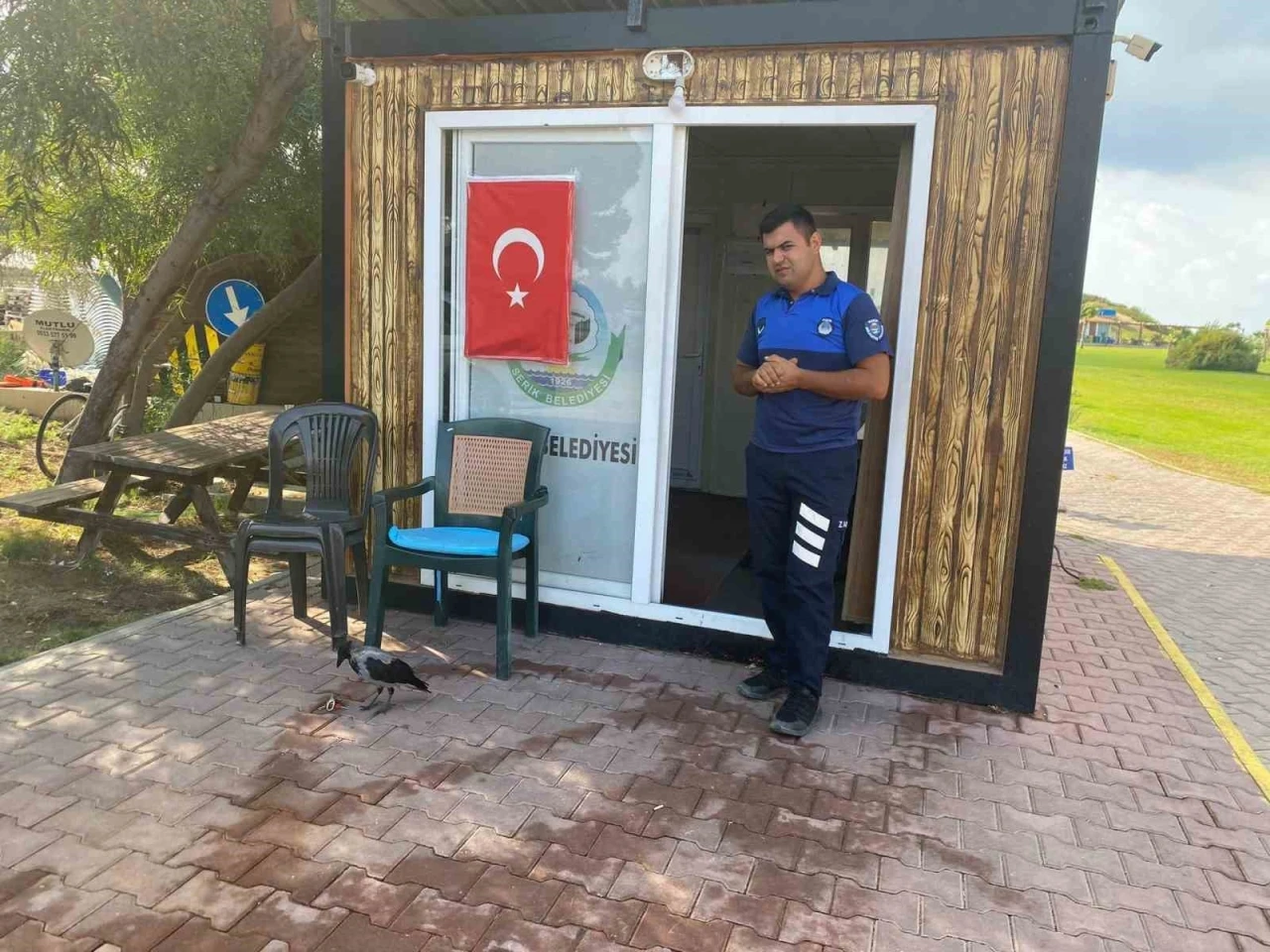 Maskot karganın ’firari’ karga olduğu ortaya çıktı
