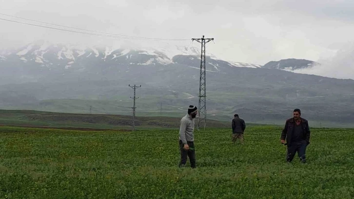 Mayıs ayında kar yağdı, vatandaş yeniden soba kurdu