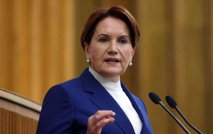 Meral Akşener, Sinan Oğan'ın hedefini açıkladı 