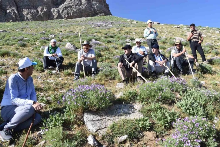 Mereto Dağı turizme kazandırılıyor
