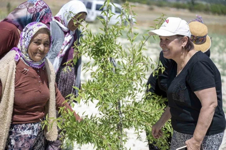 Mersin Büyükşehir Belediyesinin tarımsal üretime desteği sürüyor
