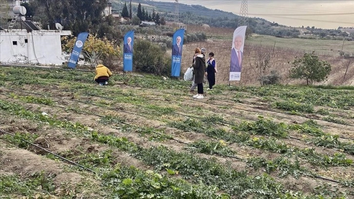 Mersin'de kadınların ektiği 