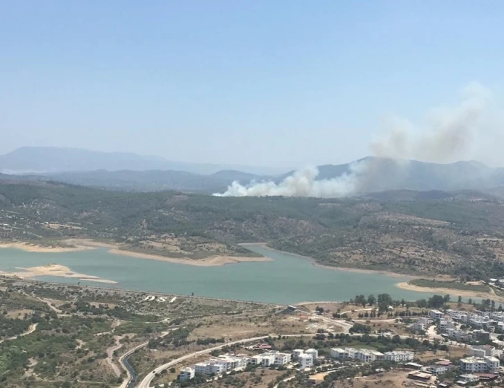 Milas’taki orman yangını kontrol altına alındı
