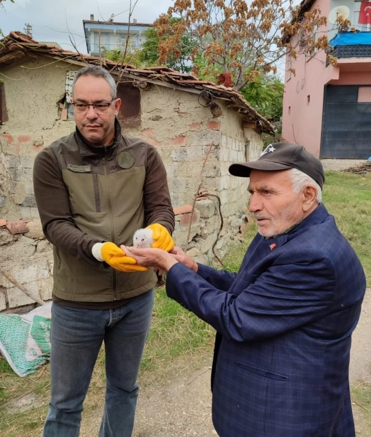 Minareden düşen yavru puhuyu Ahmet amca kurtardı
