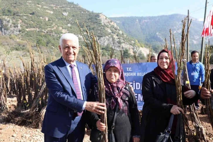 Muğla Büyükşehir, meyve fidanı desteğine başlıyor
