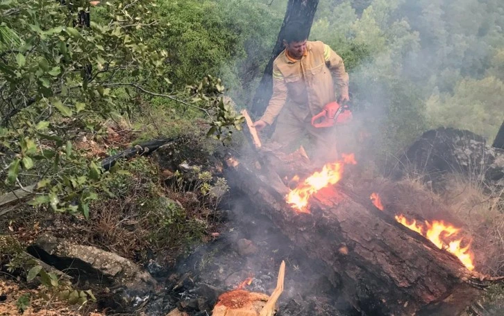 Muğla’da 5 günde 50 yıldırım yangını